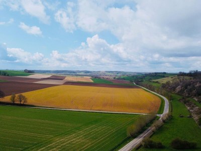 Holiday house Pet-Friendly Country Escape - Environment photo 29