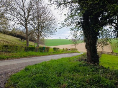 Holiday house Pet-Friendly Country Escape - Environment photo 31