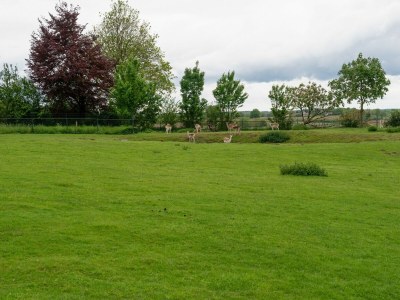 Holiday house Pet-Friendly Country Escape - Environment photo 32