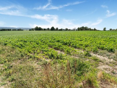 Holiday house Cozy Apartment in Voerendaal with Garden - Environment photo 30