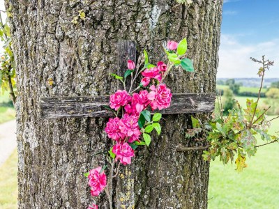 Holiday house Cozy Apartment in Voerendaal with Garden - Environment photo 31