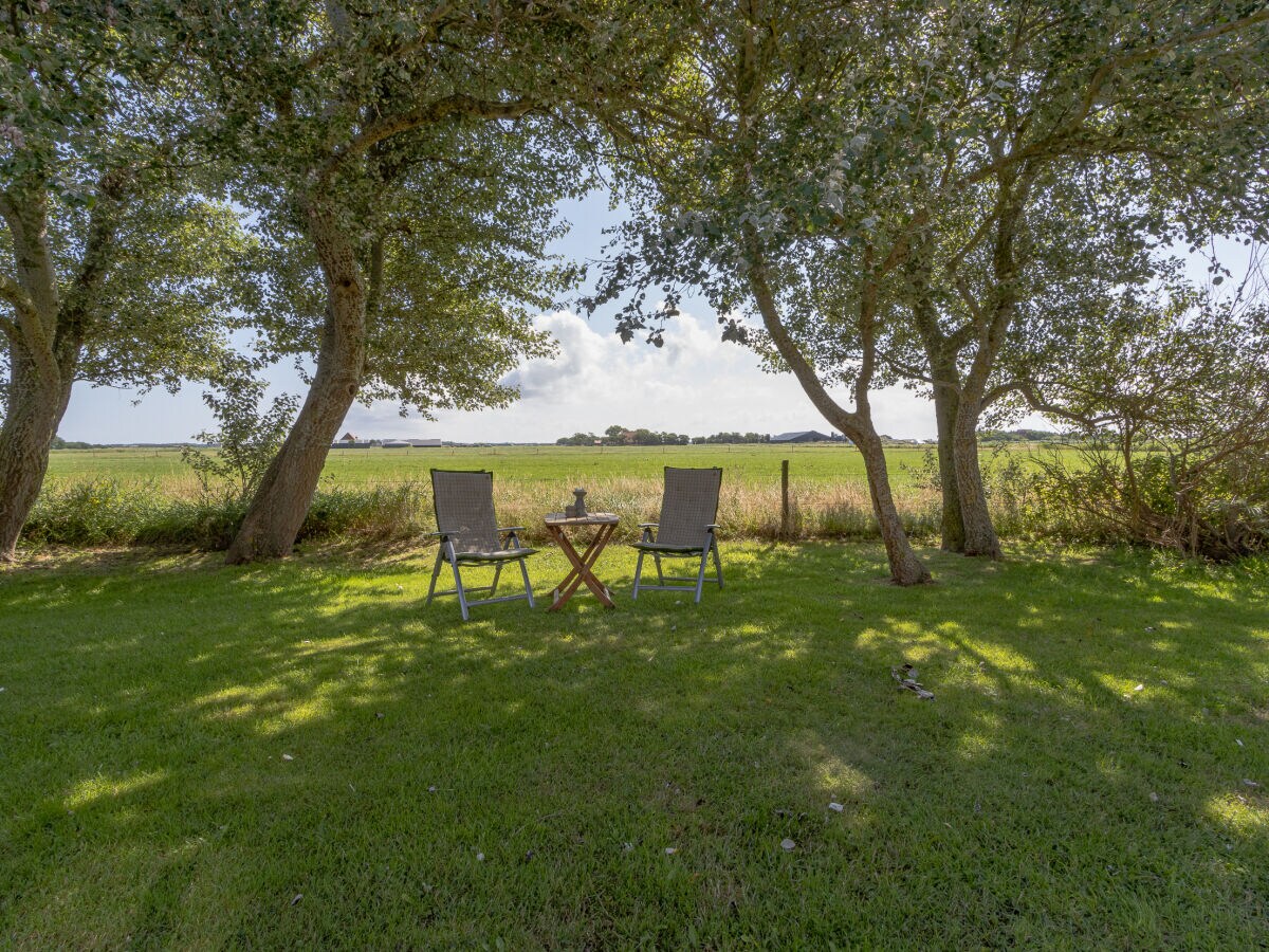 Villa Weidevilla Liesje 1 - Outdoor photo 4