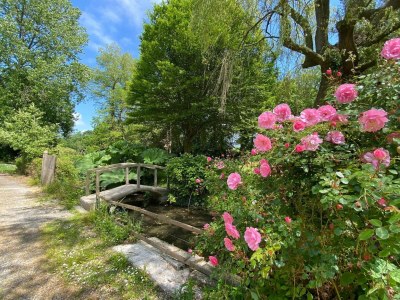 Holiday house Haus im Cotentin nahe Barneville-Carteret - Outdoor photo 2