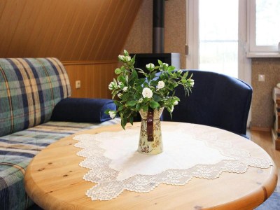 Holiday house Ferienhaus am Dümmer See, Perlin - Features photo 12