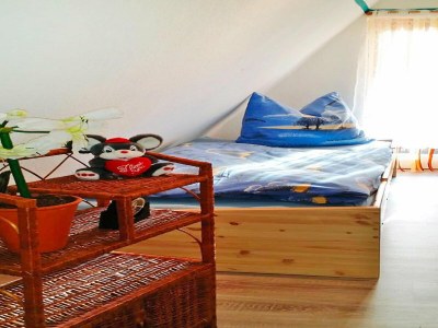 Holiday house Ferienhaus am Dümmer See, Perlin - Features photo 13