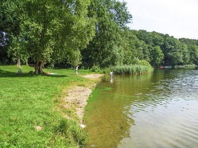 Holiday house Ferienhaus am Dümmer See, Perlin - Environment photo 22