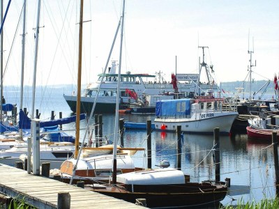 Holiday house Ferienhaus, Teßmannsdorf - Environment photo 14