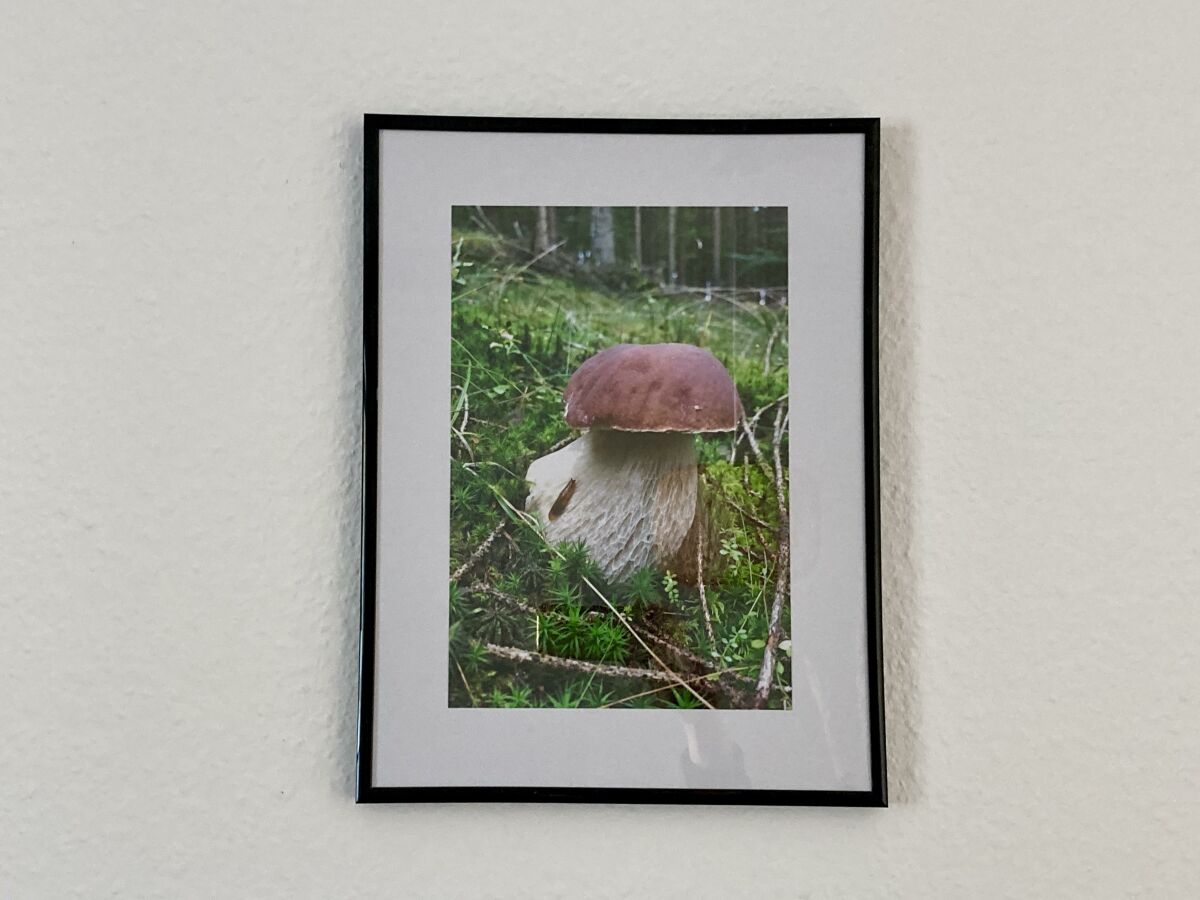 Apartment 2-Bett-Ferienwohnung Pützbachtal bis 4 Personen - Outdoor photo 3