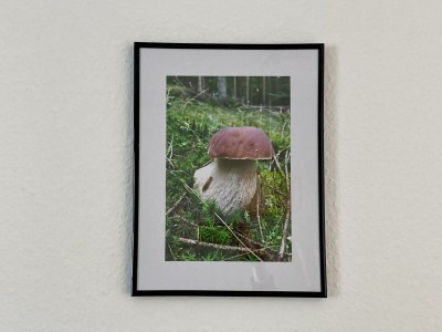 Apartment 2-Bett-Ferienwohnung Pützbachtal bis 4 Personen - Outdoor photo 3