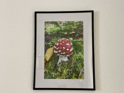 Apartment 2-Bett-Ferienwohnung Pützbachtal bis 4 Personen - Features photo 16