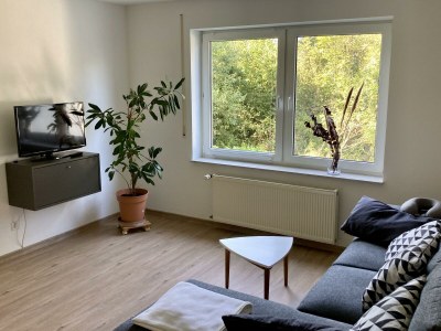 Apartment 2-Bett-Ferienwohnung Pützbachtal bis 4 Personen - Features photo 18