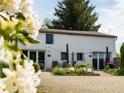 Apartment 4-Bett-Apartment Eifelblick - Outdoor photo 3