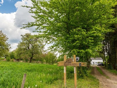 Apartment 4-Bett-Apartment Eifelblick - Outdoor photo 6