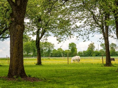 Apartment 4-Bett-Apartment Eifelblick - Outdoor photo 13