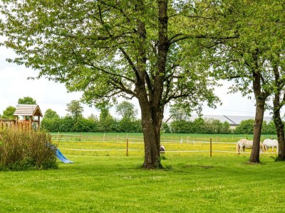 Apartment 4-Bett-Apartment Eifelblick - Outdoor photo 15