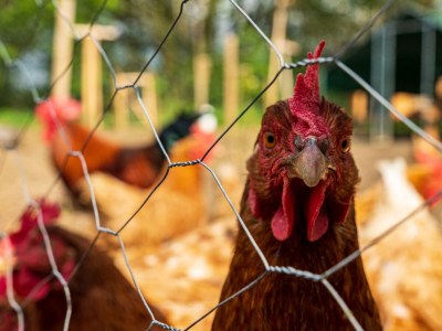 Apartment 4-Bett-Apartment Eifelblick - Outdoor photo 18