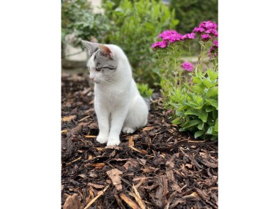 Apartment 4-Bett-Apartment Eifelblick - Outdoor photo 21