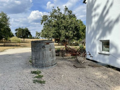 Apartment 4-Bett-Apartment Eifelblick - Outdoor photo 22