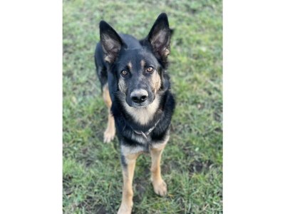 Apartment 4-Bett-Apartment Eifelblick - Outdoor photo 23