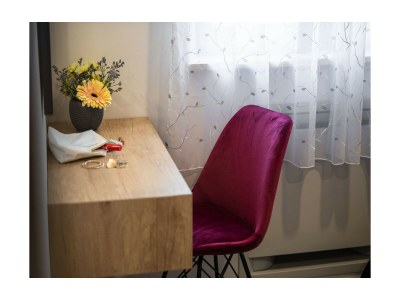 Villa Alison Deluxe Junior - Features photo 9