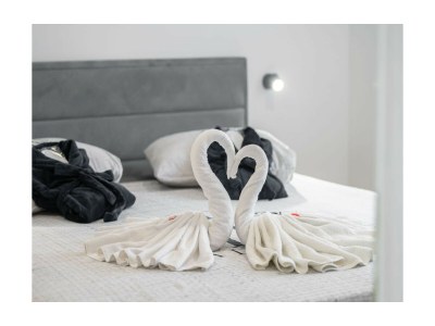 Villa Alison Deluxe Junior - Features photo 10