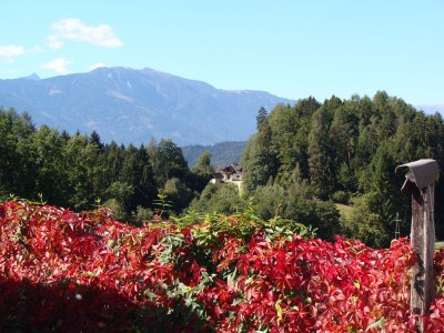 Holiday apartment Titz und Riese 2 - Outdoor photo 10