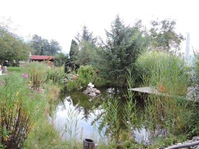 Holiday apartment Titz und Riese 4 - Outdoor photo 6