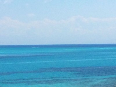 Holiday apartment La Pergola 707 - Environment photo 15