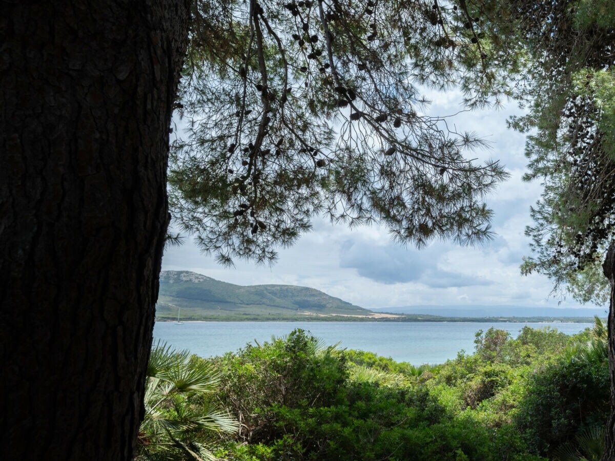 Villa Villa Laura - Outdoor photo 2