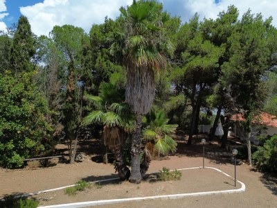 Villa Villa Laura - Outdoor photo 19