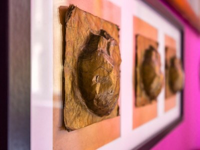 Holiday house Piazza Miraglia - Apartment and Rooms 02 - Features photo 25