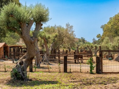 Apartment Appartamento Giunone con Piscina - Outdoor photo 10