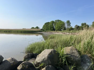 Bungalow Hühnergott beim Boddenstrand - Environment photo 33