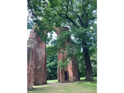 Bungalow Hühnergott beim Boddenstrand - Environment photo 35