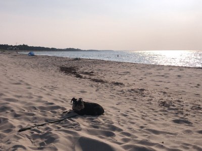 Bungalow Hühnergott beim Boddenstrand - Environment photo 39