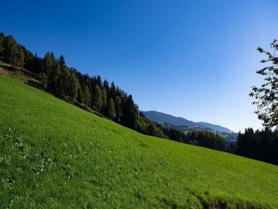 Apartment Bauernhaus in Hollersbach mit Bergblick - Outdoor photo 2