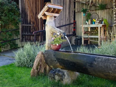 Apartment Bauernhaus in Hollersbach mit Bergblick - Outdoor photo 3