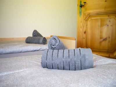 Apartment Bauernhaus in Hollersbach mit Bergblick - Features photo 25