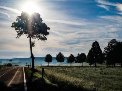 Holiday park Reinskopf Chalet with Fireplace - Environment photo 25