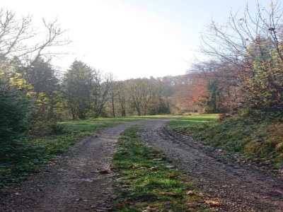 Holiday park Reinskopf Chalet with Fireplace - Environment photo 32