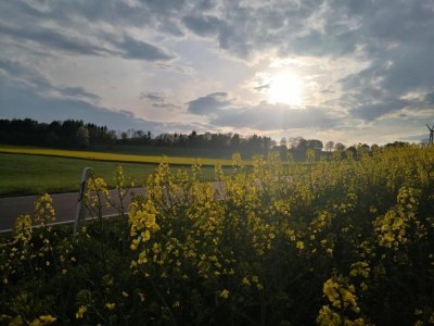 Holiday park Reinskopf Chalet with Fireplace - Environment photo 35