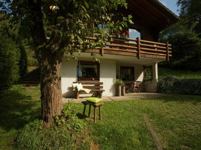 Holiday park Chalet in Reinskopf mit Kamin & Balkon - Outdoor photo 5