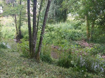 Holiday park Chalet in Reinskopf mit Kamin & Balkon - Environment photo 14