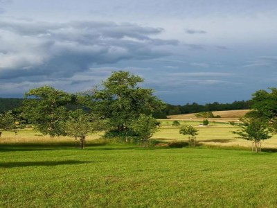 Holiday park Chalet in Reinskopf mit Kamin & Balkon - Environment photo 22