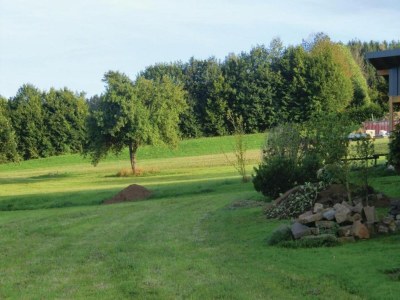 Holiday park Chalet in Reinskopf mit Kamin & Balkon - Environment photo 27