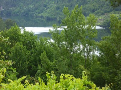 Holiday park Granite House by Tâmega with Pool - Environment photo 32