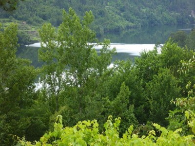 Holiday park Granite House by Tâmega with Pool - Environment photo 33