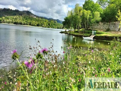 Holiday park Granite House by Tâmega with Pool - Environment photo 35