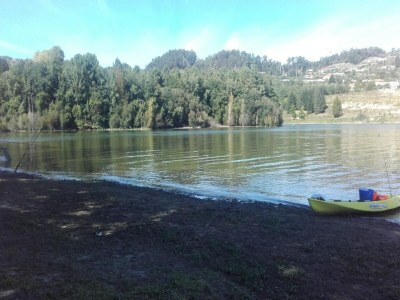 Holiday park Granite House by Tâmega with Pool - Environment photo 37