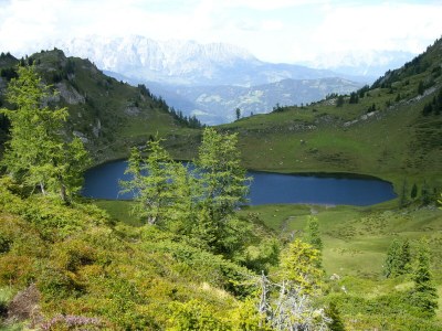 Holiday apartment Schernthaner Guest House - Environment photo 22